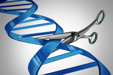 Improvements to CRISPR-Cas9 See 50-Fold Increase in Accuracy of Gene Edits
