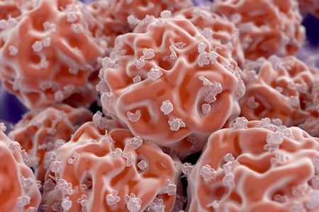 Three Dimensional DIC Microscope Helps Identify Stem Cells with High Pluripotency