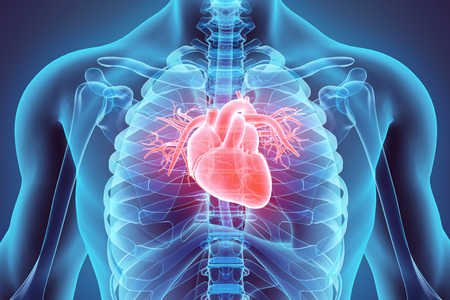 New Porcn Inhibitor Cancer Drug Could Help Repair Heart Damage