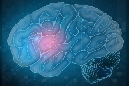 Glioblastoma Linked to the Normal Brain Healing Process After Injury