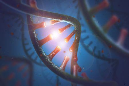 CRISPR Used to Restore Gene Expression Without Cutting DNA