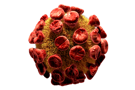 Researchers Demonstrate Effect of HIV on the Brain with fMRI