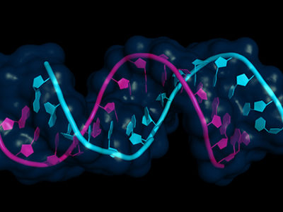 CRISPR RNA Editing Technique Developed by Salk Institute Researchers