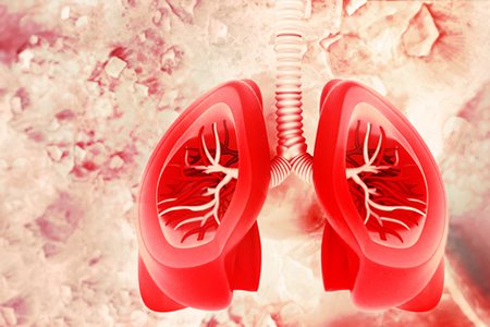 Lung Stem Cells Discovered that Show Potential for Use in Regenerative Medicine