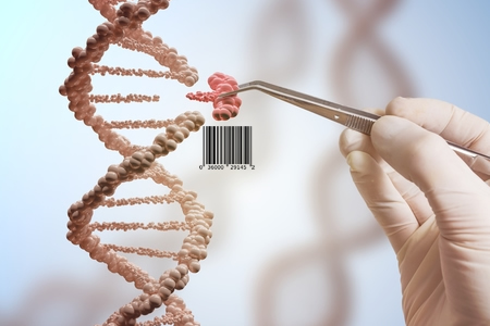 CRISPR Combined with DNA Barcodes to Monitor Tumor Growth