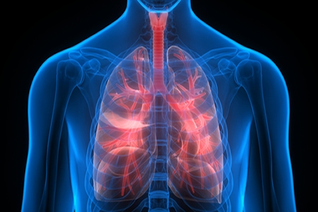 Lungs of COPD Patients Contain Large Quantities of Abnormal Stem Cells That Drive COPD Pathologies