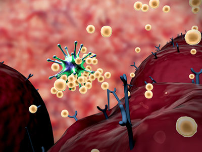 Probiotics Could Help to Reduce the Symptoms of Colds and Flu