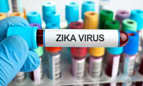 Scientists Develop Promising New Treatment for Zika Virus Infections