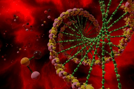DNA Switches Controlling Whole-Body Regeneration Identified
