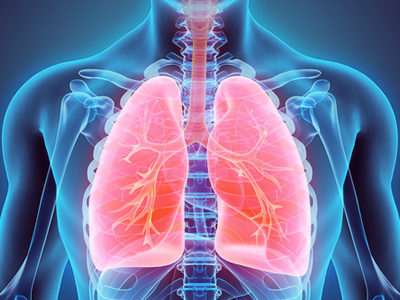 Researchers Create a Cellular Model of Chronic Obstructive Pulmonary Disease