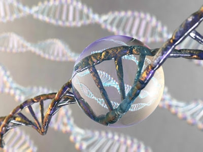 CRISPR-Chip Offers Genetic Disease Diagnosis Without PCR in Under an Hour