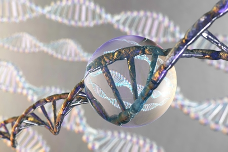CRISPR-Chip Offers Genetic Disease Diagnosis Without PCR in Under an Hour