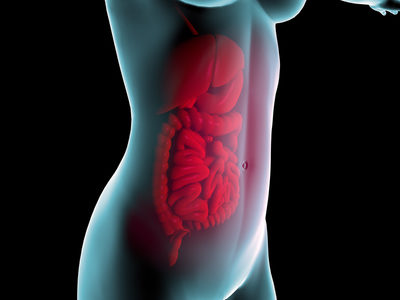 New Non-Invasive Method Developed for Studying the Gut and Microbiome