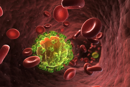 Potential Cure for HIV Discovered: Researchers Identify Kill Switch for Inactive HIV