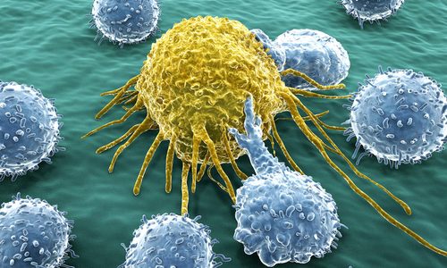 New CAR T-Cell Therapy Technique Effective on Solid Cancer Tumors