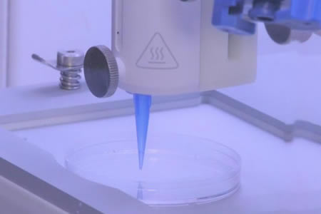 Scientists 3D Print Living Skin with Functional Blood Vessels