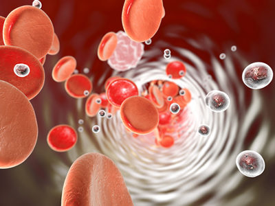 Researchers Uncover Way to Create Usable Hematopoietic Stem Cells