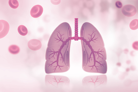 Fully Functional Lungs Grown in Mice from Donor Pluripotent Stem Cells