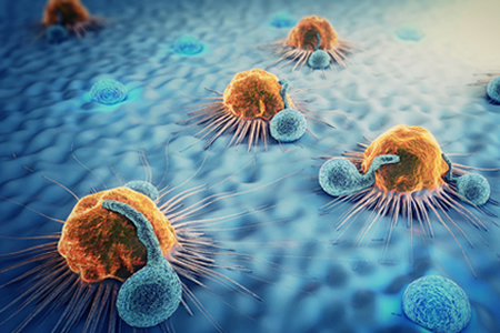 Recently Discovered Killer T-Cell Raises Hopes of Universal T-Cell Cancer Therapy