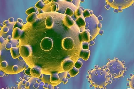 Chinese Scientists Isolate Pair of Human Antibodies that Neutralize the SARS-CoV-2 Virus
