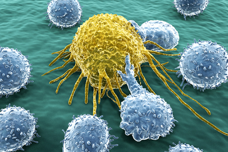 Natural Killer Immune Cells Edited to Improve Effectiveness at Targeting Cancer Cells
