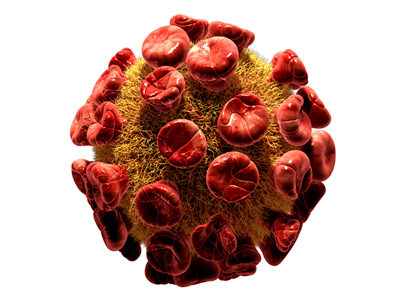 New CAR T Gene Therapy Approach Provides Long Lasting Protection Against HIV-1