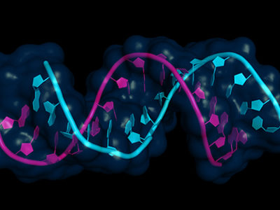 New RNA Sequencing Method Allows Previously Hidden Small RNAs to be Identified