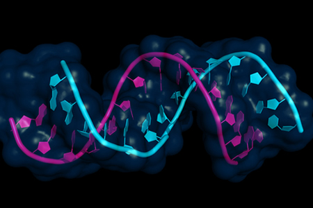 New RNA Sequencing Method Allows Previously Hidden Small RNAs to be Identified